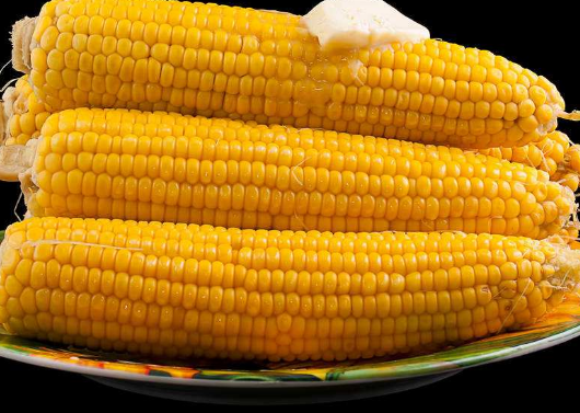 玉米是主食吗