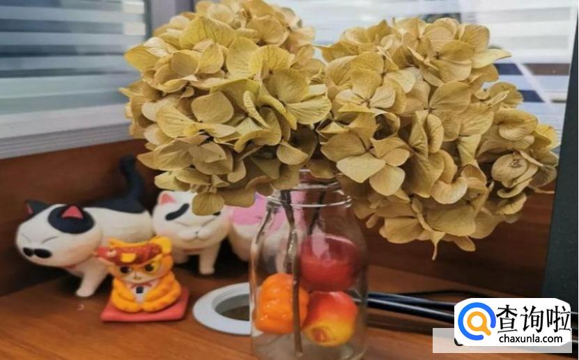 如何制作干花