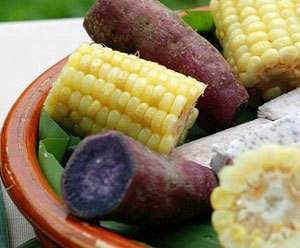 甘油三酯是什么意思