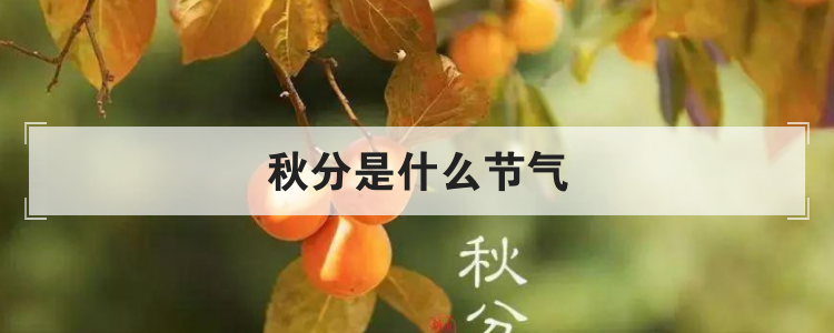秋分是什么节气