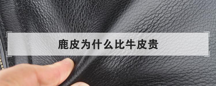 鹿皮为什么比牛皮贵