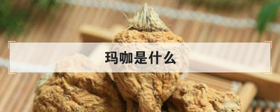 玛咖是什么