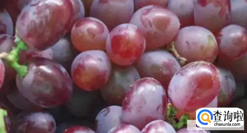 提子有哪些食用功效呢