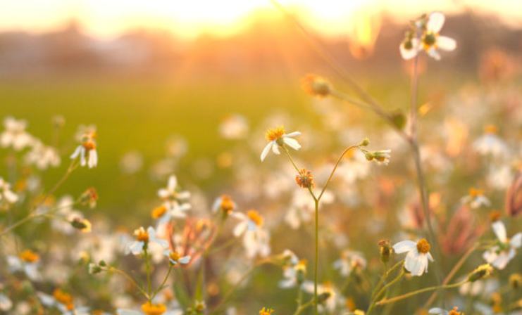 床前明月光打一字