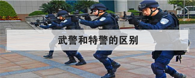 武警和特警的区别