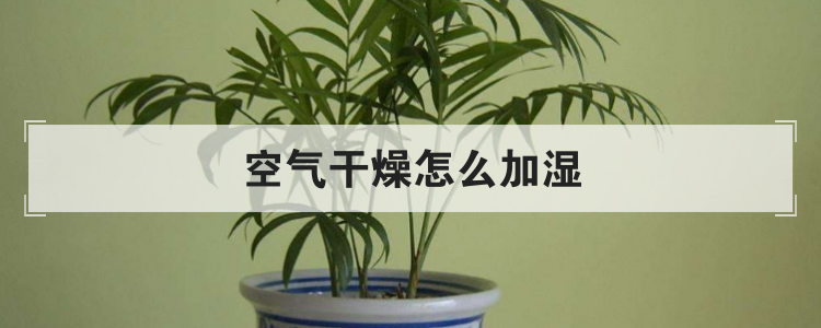 空气干燥怎么加湿