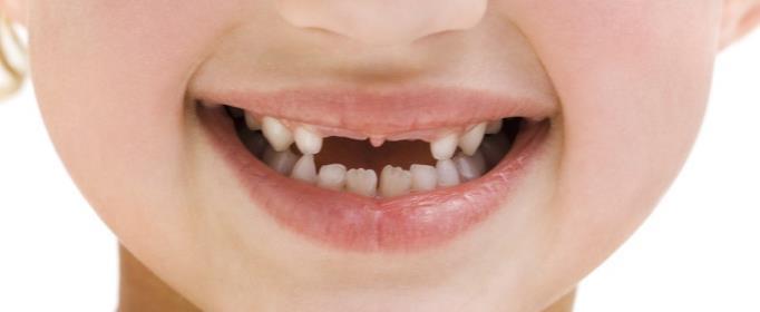 小孩子为什么要掉牙