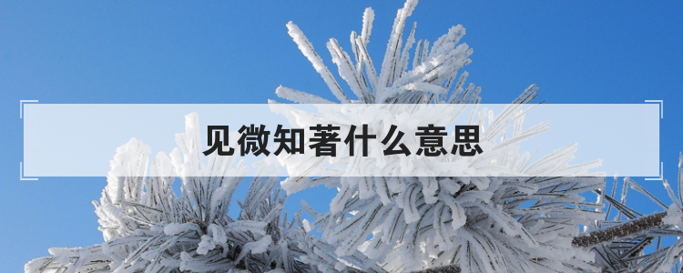见微知著什么意思