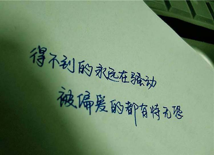 有恃无恐的意思