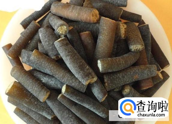 植物海笋和动物海笋的区别