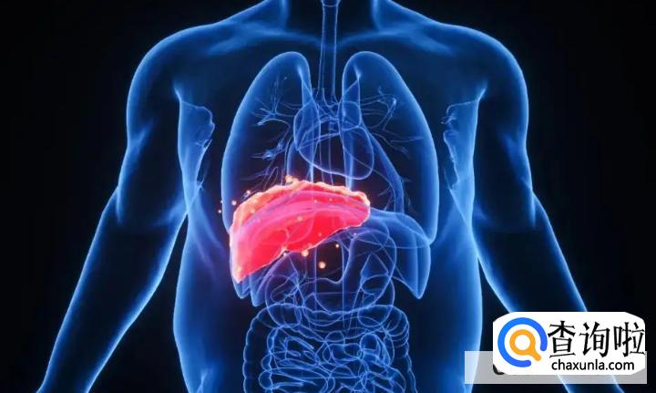 如何预防脂肪肝