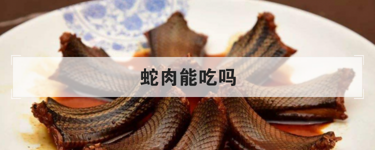 蛇肉能吃吗