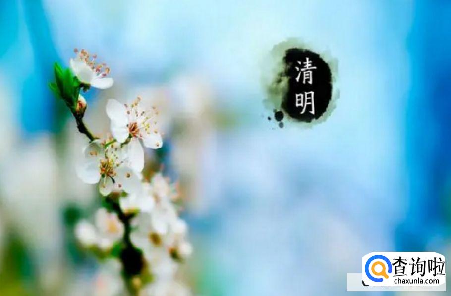 清明节制作手工花