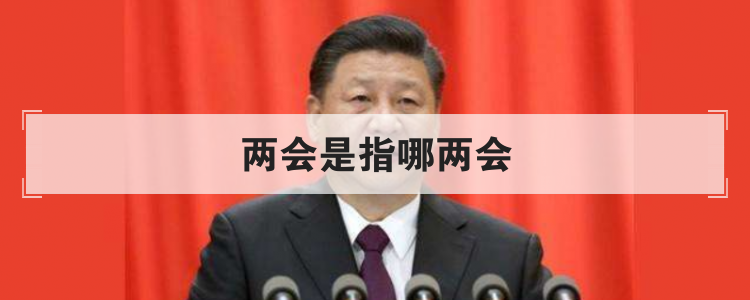 两会是指哪两会