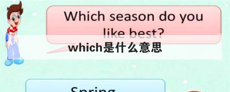 which是什么意思