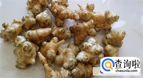 男人养生吃姜有什么作用？