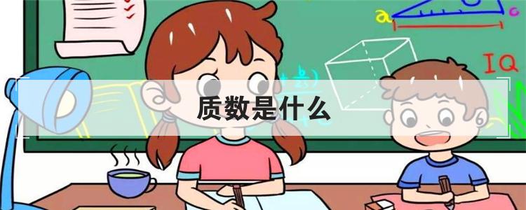 质数是什么