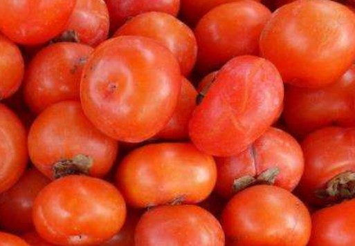 柿子的功效与作用