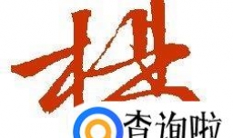 杨姓的来源