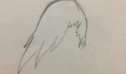 如何画井野？