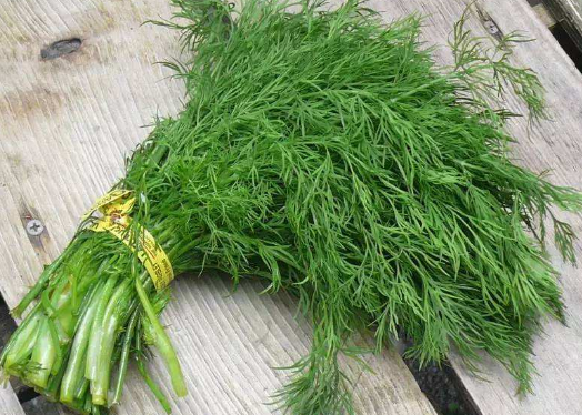 荤香是什么