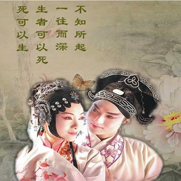 情不知所起一往而深下一句是什么