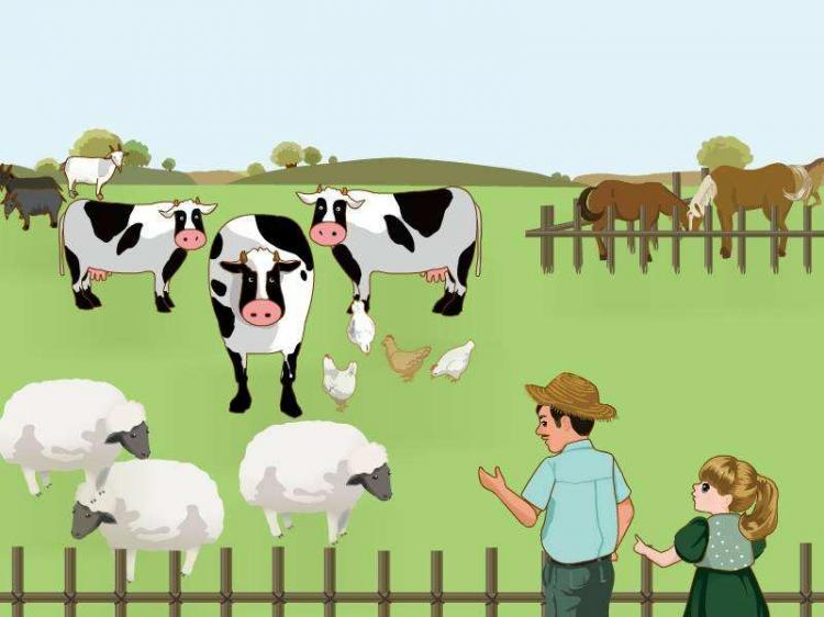 farm是什么意思