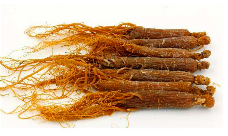 女人吃红参的好处