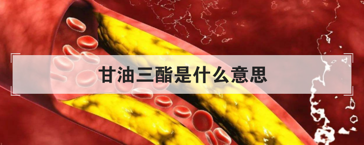 甘油三酯是什么意思