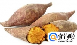13天减肥食谱