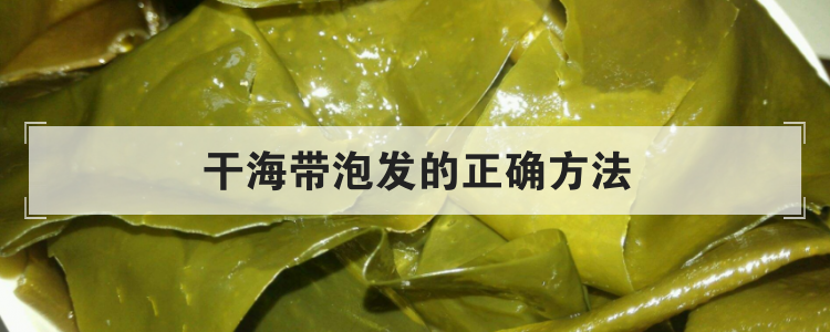 干海带泡发的正确方法