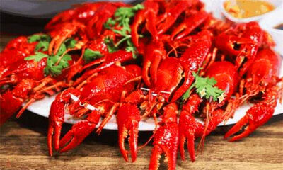 小龙虾生长在什么地方