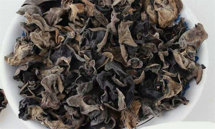 木耳食用禁忌