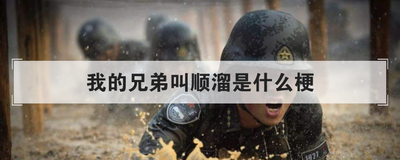 我的兄弟叫顺溜是什么梗