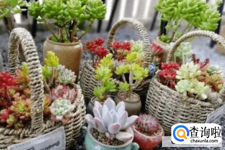 疫情不能出门,应该如何充实自己的生活?