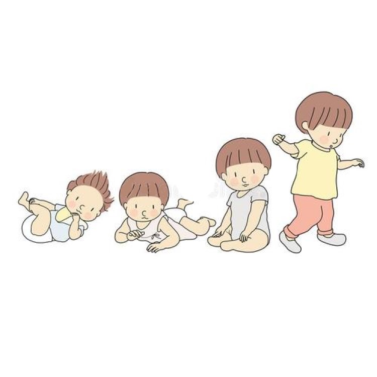 it是什么意思
