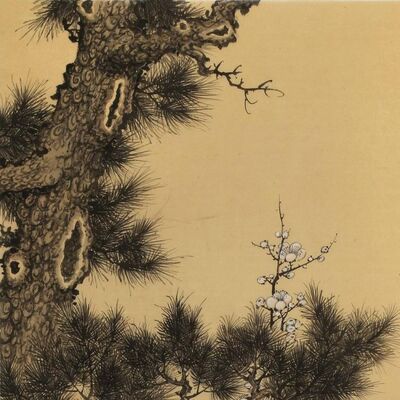 岁寒三友是什么