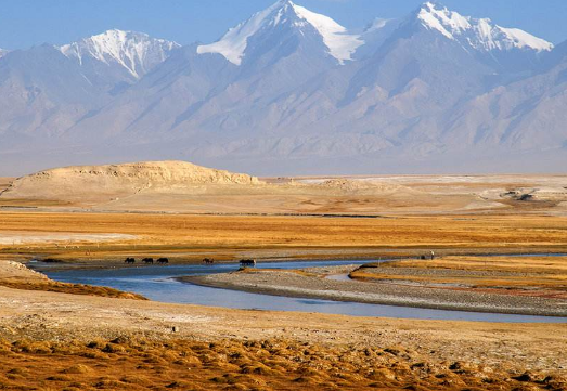 中国最大的省级单位是