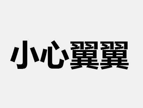 小心翼翼是什么意思