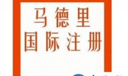 注册马德里商标需要什么条件？