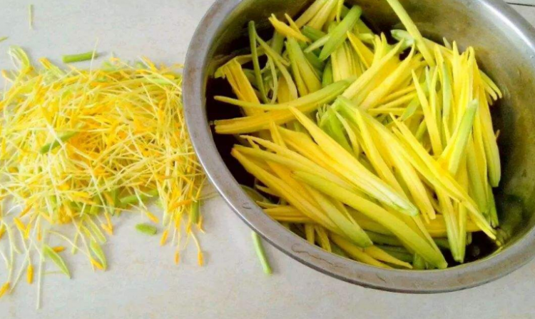 黄花菜熟晒和生晒区别