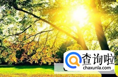 晒太阳的好处与功效与作用