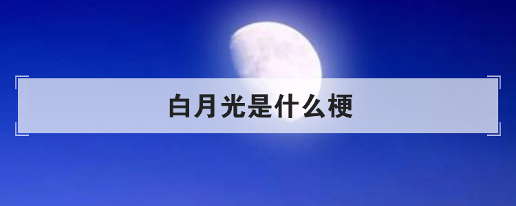 白月光是什么梗
