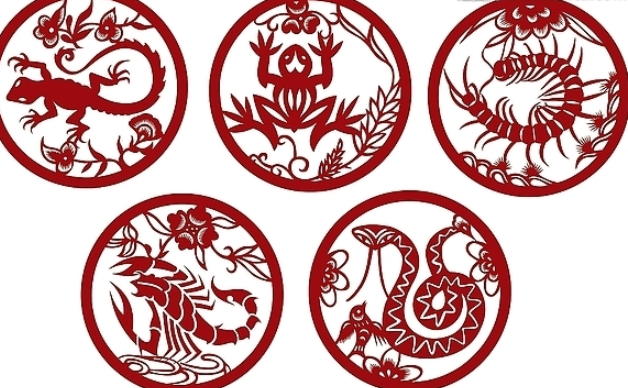 五毒到底是什么