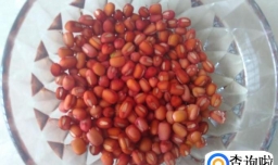 红豆沙糯米汤圆