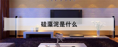 硅藻泥是什么