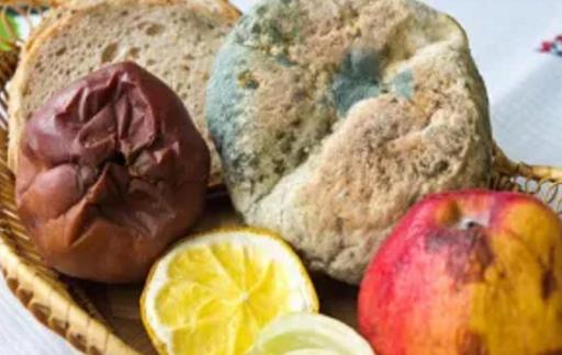 怎么预防物品发霉？