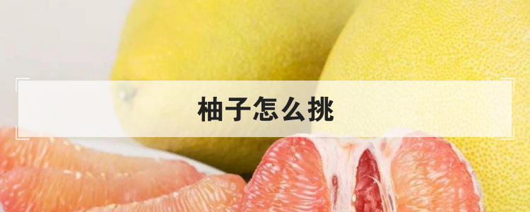 柚子怎么挑