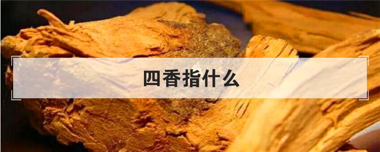 四香指什么