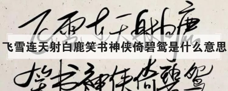 飞雪连天射白鹿笑书神侠倚碧鸳是什么意思
